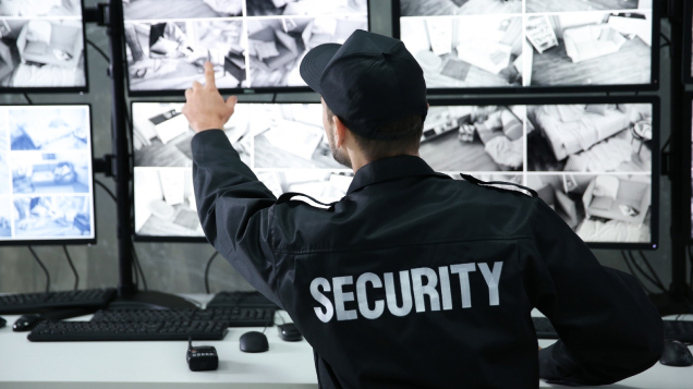 Security Services Services